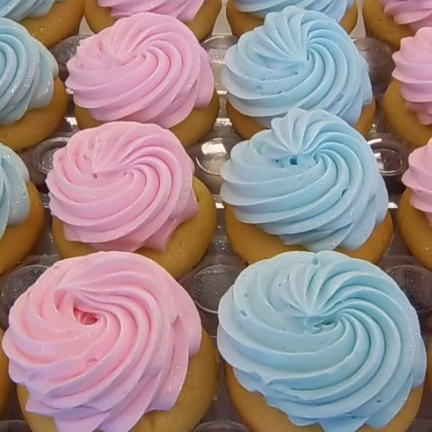 Gender Reveal Cupcakes