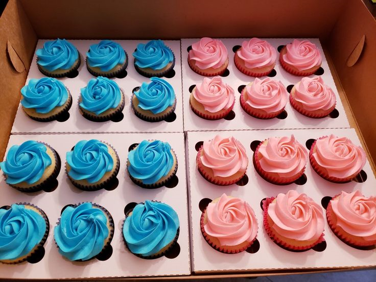 Gender Reveal Cupcakes