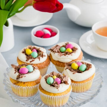 Bird  Themed Cupcakes