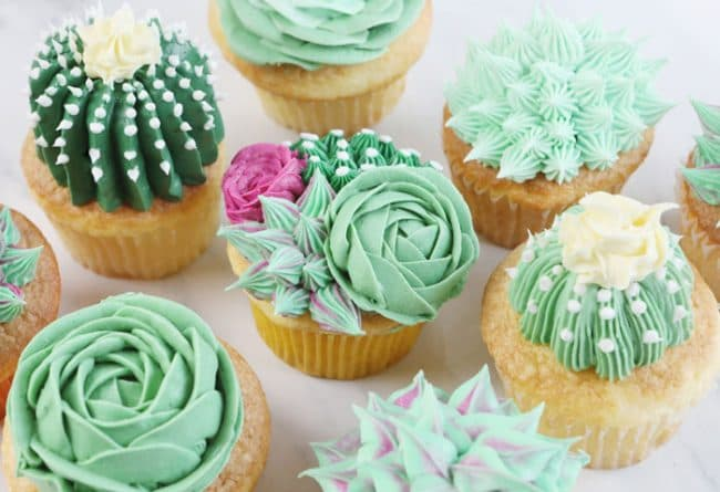 Cactus Themed Cupcakes