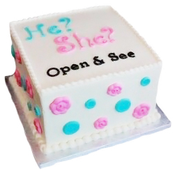 Baby Gender Reveal Cake