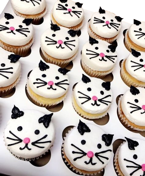 Cat Theme Cupcakes