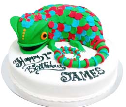 Reptile Cake